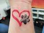 North Coast Body Mod 2