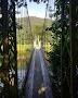 Sappers Suspension Bridge