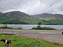 Loch Lochy Viewpoint 2