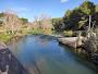 Area Recreativa De Manises