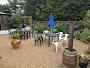 Bridge Inn 3