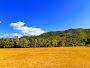 Area Verde Casella