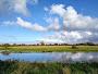 Fen Drayton Lakes 2