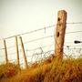 The Highland Line