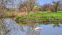 Barcombe Mills