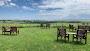 Clayhill Vineyard