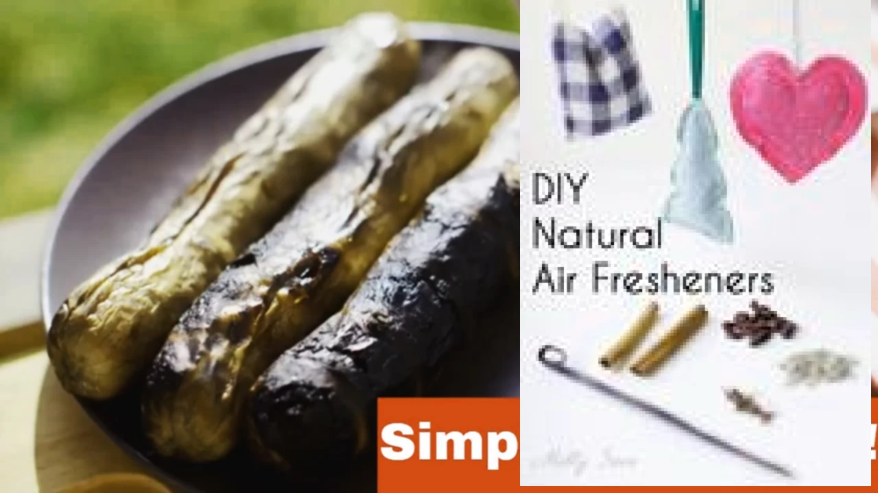 Banish Cooking Odors: How to Remove Burnt Smell From House Fast featured image