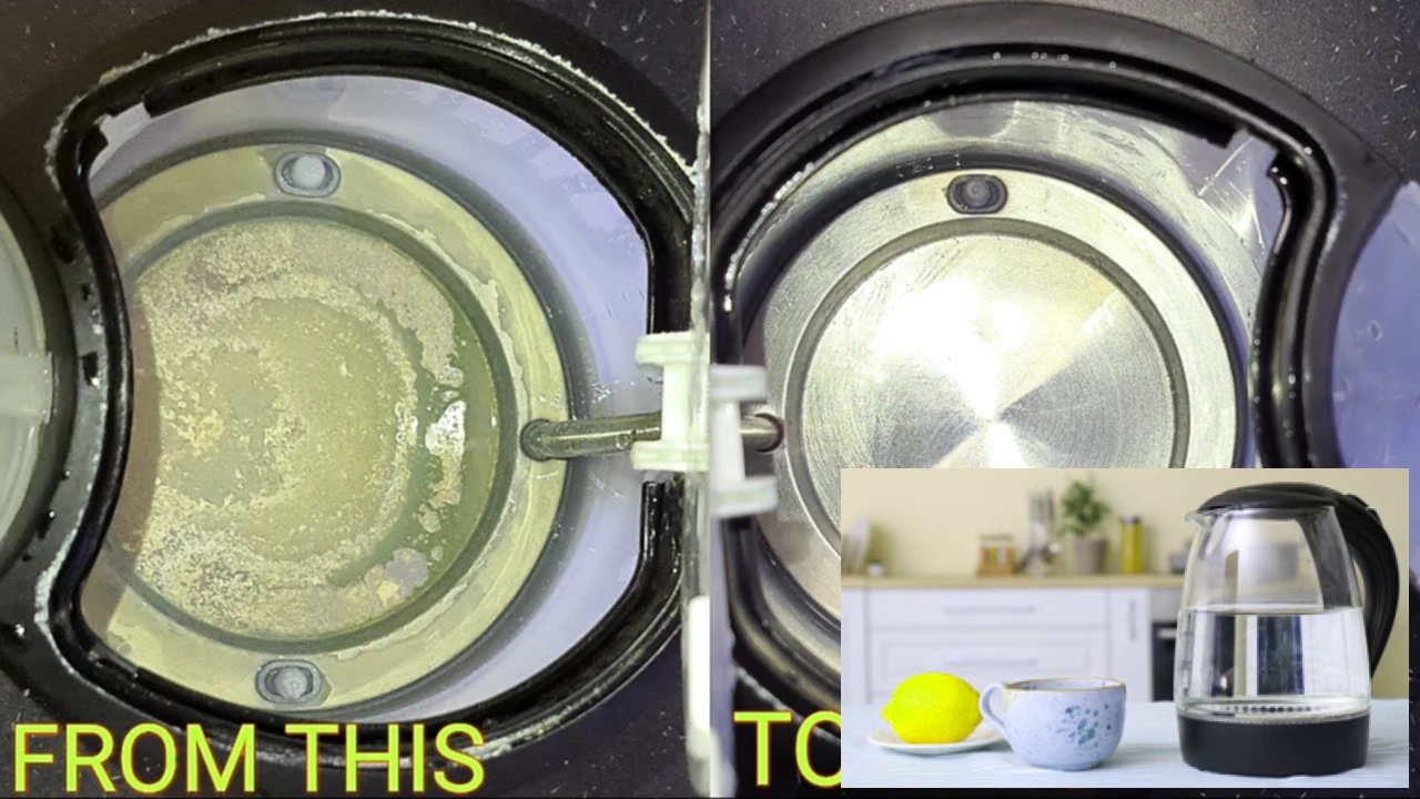 How to Descale a Kettle Naturally: Lemon Power & More featured image